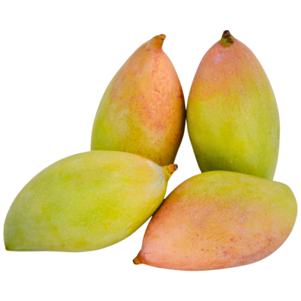 Mango Totapuri