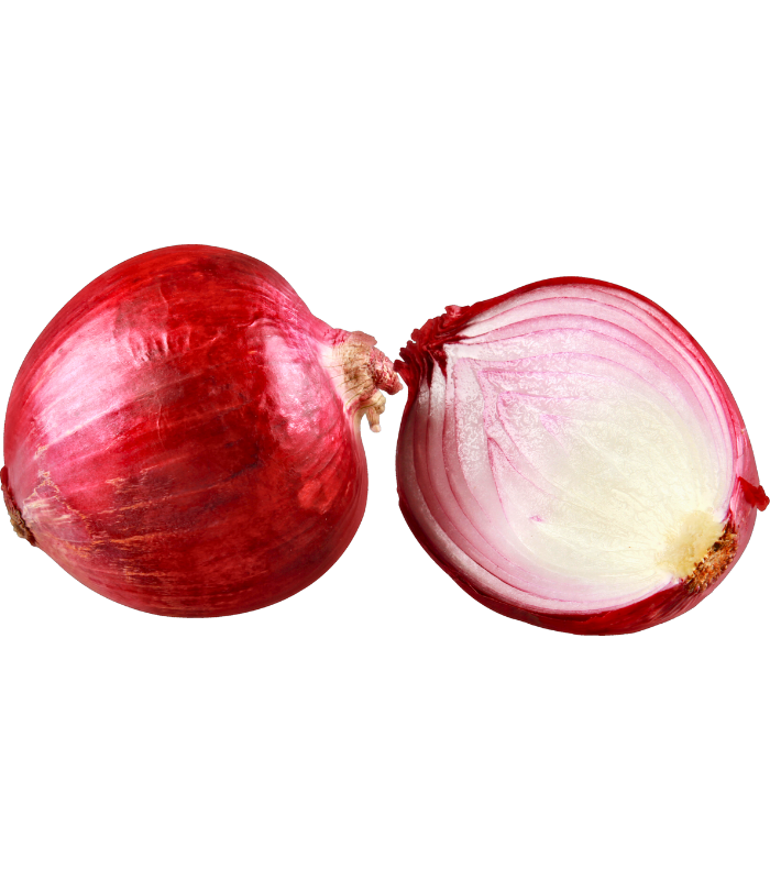 Onion